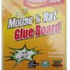 Mouse and Rat Glue Board
