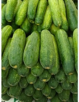 Cucumber Kheera
