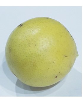 Lemon Nimboo